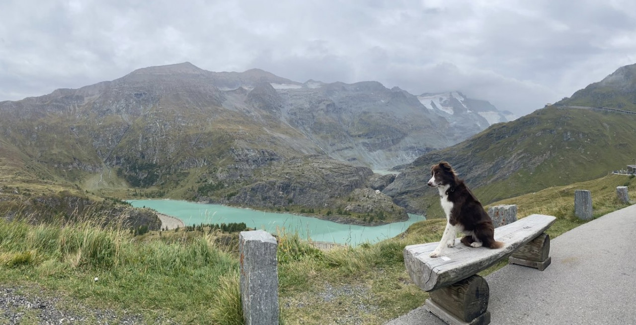 Lilly - Feelgood Managerin