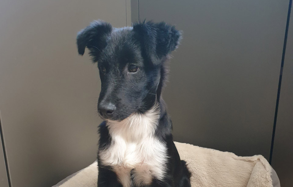 20220107-113751b2ap3_large_20210907_10323_20220106-071524_1